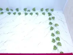 Amateur Free Live Porn of amandacanelacm