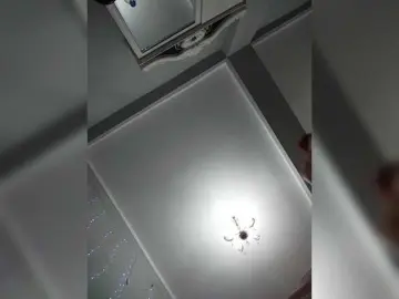 Bongacams Sex Cam of Kitteen