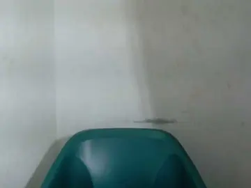 Bongacams Best Webcam of Sugarxpussy