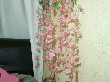 Bongacams Private Sex Chat of Pussy01lips