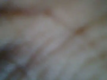 Bongacams Best live sex cam show of Sweetchely