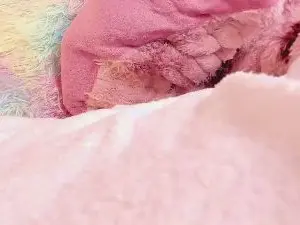 Cam4 Live Porn of miss_alhy