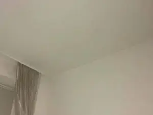 Cam4 Free Porn Cam of ShaylaWalstad