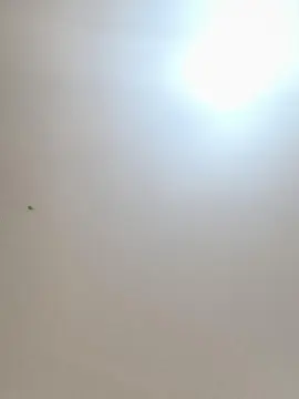 Cam4 Live Sex of Daddyslut4u