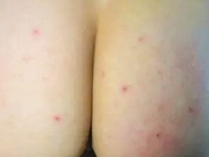 Cam4 Adult Webcam of adriana71