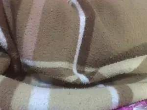 Cam4 Live Sex of hornessa1