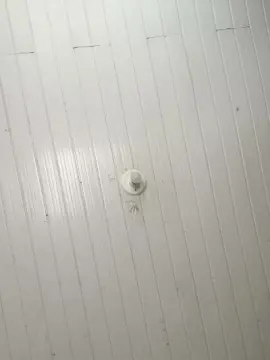 Cam4 Sex Cam of Viiih2024