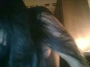Cam4 Live Porn of Ximenahotonly