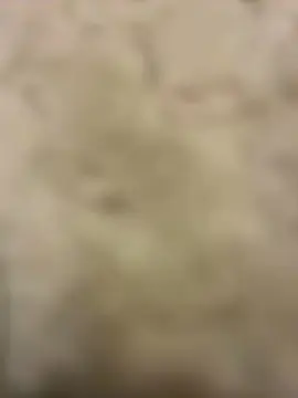 Cam4 Live Sex Cam of Nanou93