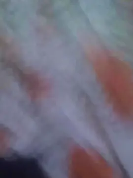 Cam4 Sex Cam of casal1881