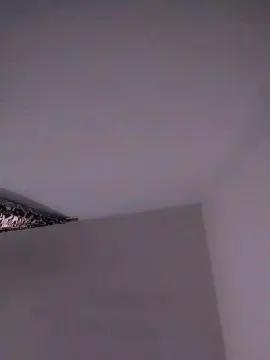 Cam4 Free Live Porn of Vixen_flutter