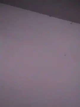 Cam4 Free Porn Cam of Vixen_flutter