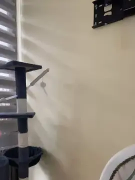 Cam4 Sex Cam of Isapekha