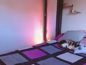 Cam4 Live Sex of vanessa_har