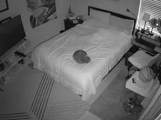 Camsoda Adult Video Chat of voyeurcam-hornyhostel-01