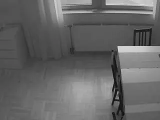 Camsoda Adult Webcams of voyeurcam-julmodels-dining-2