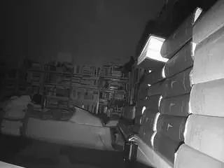 Camsoda Sex Chat of voyeurcam-bridgetleewalters-02