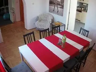 Camsoda Adult Webcams of voyeurcam-julmodels-dining