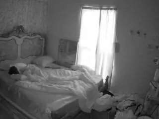 Camsoda Adult Webcams of voyeurcam-hornyhostel-03