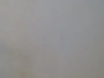 Chaturbate Adult Webcams of emily175445