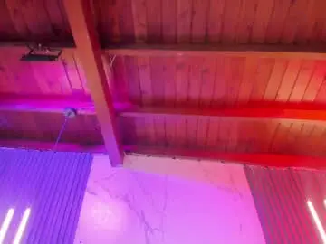 Chaturbate Live Porn of ari_monroe