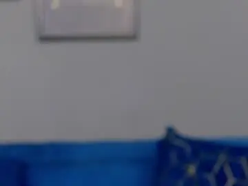 Chaturbate Live Sex Cam of annehove