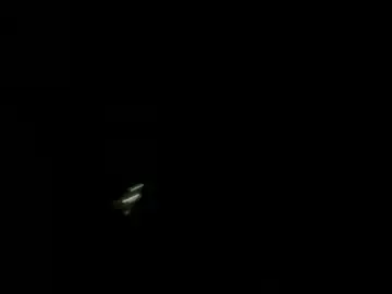 Chaturbate Best Webcam of good_girl_24
