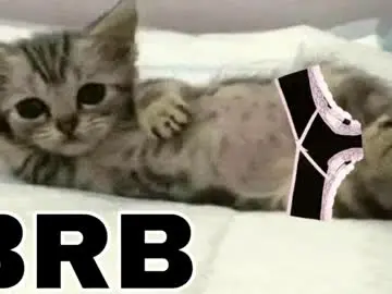 Chaturbate Free Live Porn of _meowmiko__