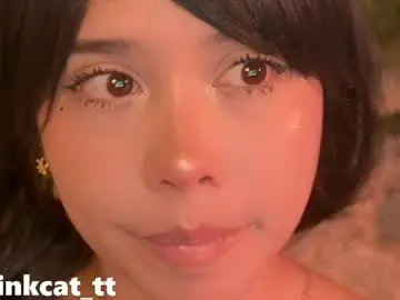 Chaturbate Private Sex Chat of piinkcat