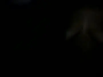 Chaturbate Adult Webcam of nasty_slut87