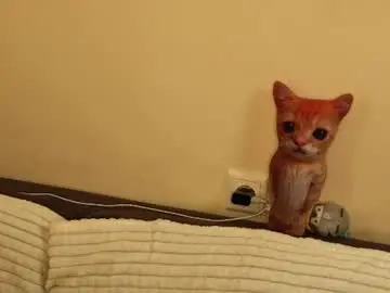 Chaturbate Free Porn Cam of hettiesalsa