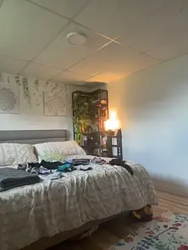 Stripchat Sex Cam of CurvesNChaos