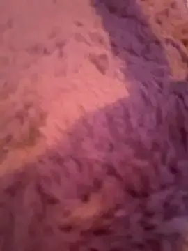 Stripchat Watch Live Sex Cams of Terribletabby