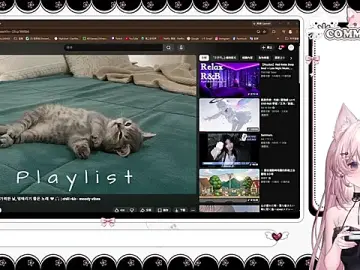 Stripchat Live Porn of Fatis-Rin-Meow