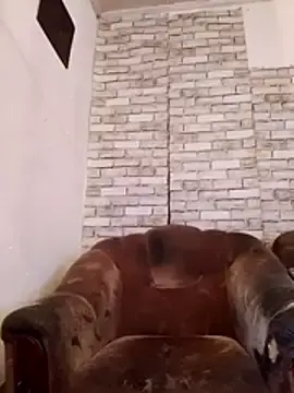 Stripchat Free Live Porn of Cerd_Ayaz